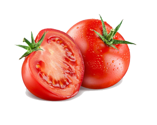 Tomato